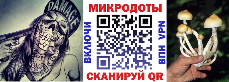 закладка  Гурьевск  Псилоцибиновые грибы Magic Shrooms 